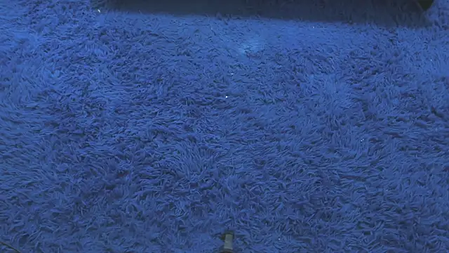 Snapshot of Mia-collins01 chatting on April 2026 12:34:02 PM Mia-collins01 online show from April 2026 12:34:02 PM