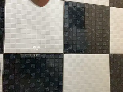 DignoDePutaria online show from April 2026 01:07:01 PM