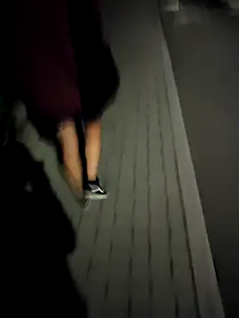 Snapshot of Ninileo chatting on April 2026 08:33:02 PM Ninileo online show from April 2026 08:33:02 PM