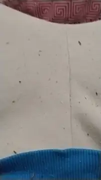 Snapshot of diego69caxondo chatting on April 2026 01:30:02 AM diego69caxondo online show from April 2026 01:30:02 AM