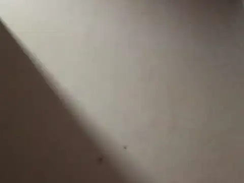 Snapshot of SL_Uma chatting on April 2026 07:05:02 PM SL Uma online show from April 2026 07:05:02 PM