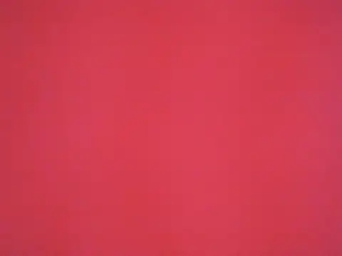 sara sofiamodel online show from April 2026 01:20:02 AM