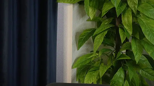 Snapshot of SelmaHjort chatting on April 2026 11:52:02 AM SelmaHjort online show from April 2026 11:52:02 AM