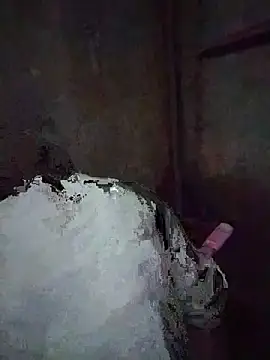 Sea-ice online show from July 2026 12:12:01 AM