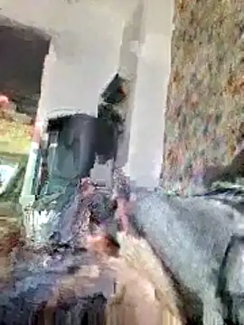 Snapshot of bellequeue147 chatting on April 2026 10:54:01 AM bellequeue147 online show from April 2026 10:54:01 AM