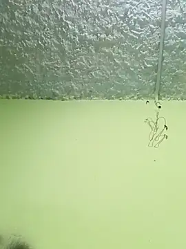 Snapshot of Micaejj chatting on April 2026 08:34:01 PM Micaejj online show from April 2026 08:34:01 PM