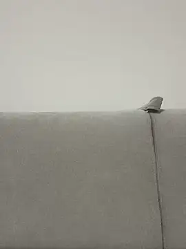 Snapshot of bunnnnyyyyyyyy chatting on April 2026 05:48:02 PM bunnnnyyyyyyyy online show from April 2026 05:48:02 PM