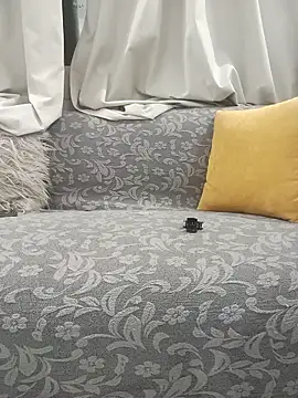 Snapshot of marouch123 chatting on April 2026 08:06:01 PM marouch123 online show from April 2026 08:06:01 PM