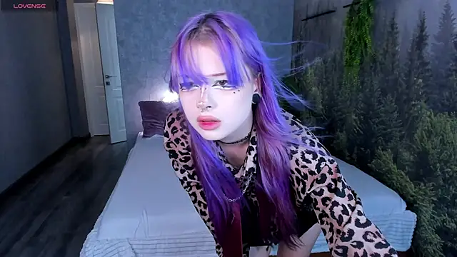 Ammelia Backerr online show from July 2026 09:34:01 AM