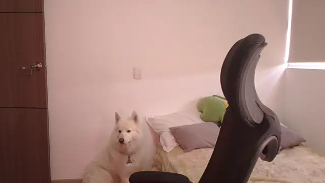 abbyyandmaxx online show from June 2026 03:55:02 PM