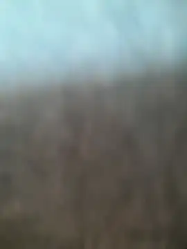 Snapshot of kasalsecrets chatting on July 2026 05:52:01 PM kasalsecrets online show from July 2026 05:52:01 PM