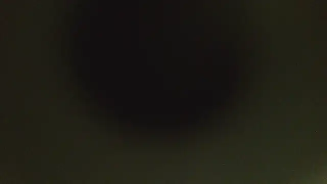 Snapshot of herpuppypeter chatting on May 2026 01:45:01 AM herpuppypeter online show from May 2026 01:45:01 AM