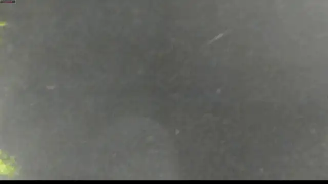 Snapshot of justin_lenox chatting on June 2026 12:01:02 AM justin lenox online show from June 2026 12:01:02 AM