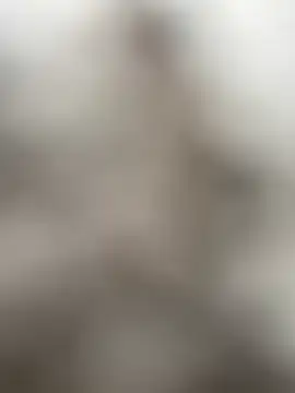 Snapshot of zaanbai chatting on June 2026 04:46:01 AM zaanbai online show from June 2026 04:46:01 AM