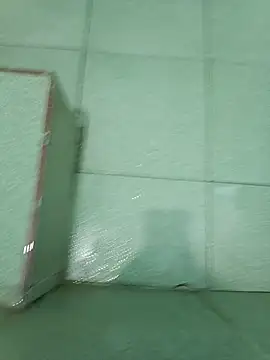 telugucall boy online show from June 2026 11:04:01 AM