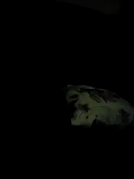 Tashaspicy online show from May 2026 02:53:01 AM