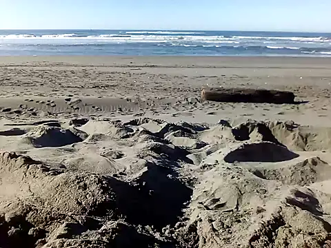 Snapshot of dog-naked chatting on January 2025 10:26:01 PM dog-naked online show from January 2025 10:26:01 PM