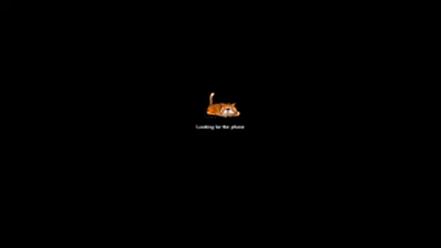 bella-diaz online show from July 2026 08:33:02 PM