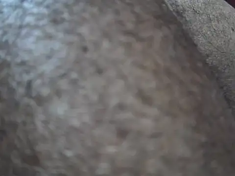 Snapshot of indiboy009 chatting on March 2025 10:49:01 PM indiboy009 online show from March 2025 10:49:01 PM