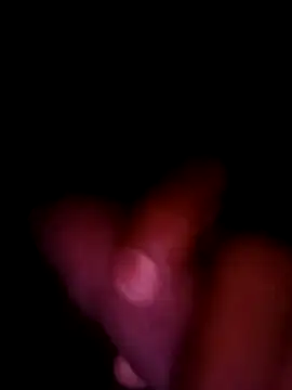 siddbusygg online show from June 2026 07:08:02 PM
