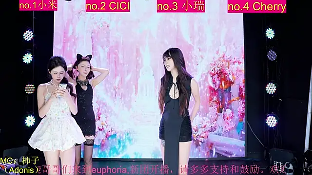 Snapshot of euphoria-001 chatting on June 2026 09:19:02 AM euphoria-001 online show from June 2026 09:19:02 AM