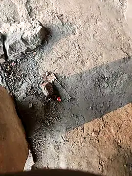 lambakooli online show from June 2026 12:41:02 AM