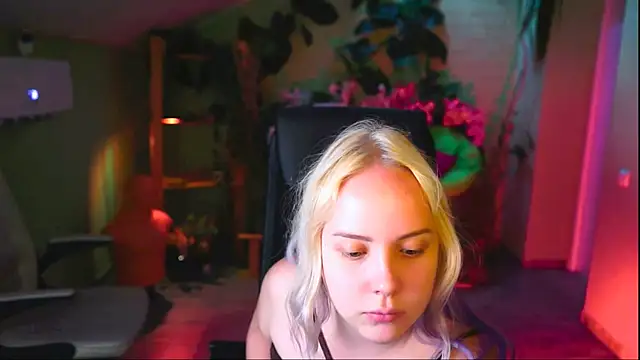 stellawatts online show from August 2026 12:40:01 PM