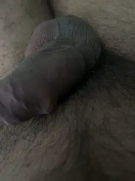 Snapshot of SatBull007 chatting on March 2026 07:20:02 PM SatBull007 online show from March 2026 07:20:02 PM