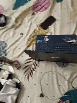HARDDICC98 online show from July 2026 01:17:01 PM
