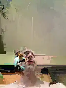 Showrunnerwright1on1 online show from July 2026 10:49:02 PM