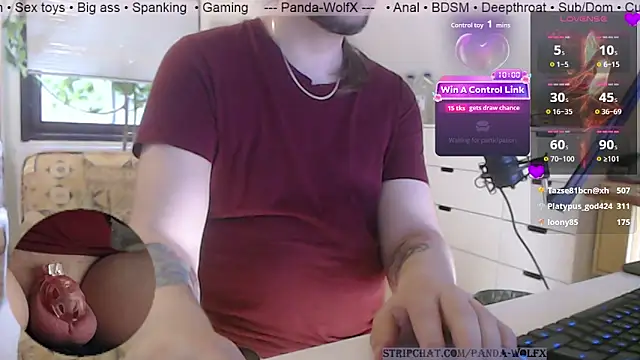 Panda-WolfX online show from July 2026 03:47:01 PM