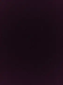 Snapshot of noirlynnexo chatting on August 2026 08:44:02 PM noirlynnexo online show from August 2026 08:44:02 PM