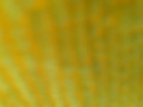 Snapshot of OGXXXOG chatting on March 2025 07:17:01 PM OGXXXOG online show from March 2025 07:17:01 PM