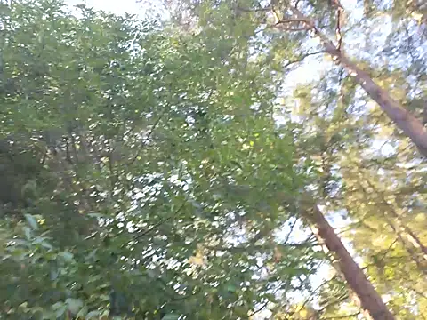 Snapshot of 415cali925 chatting on August 2026 12:25:01 AM 415cali925 online show from August 2026 12:25:01 AM