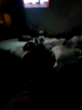 juliopantoja online show from February 2026 05:04:01 AM