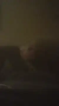 Snapshot of Biknight chatting on December 2024 05:07:01 AM Biknight online show from December 2024 05:07:01 AM