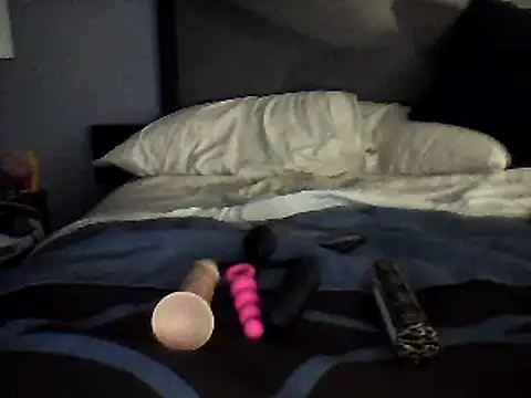 Snapshot of Biknight chatting on December 2024 06:29:01 AM Biknight online show from December 2024 06:29:01 AM