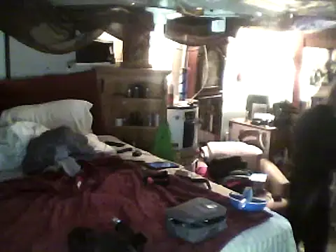 Snapshot of Biknight chatting on February 2025 05:53:02 PM Biknight online show from February 2025 05:53:02 PM