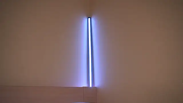 Liuba Fox online show from February 2026 07:33:02 PM