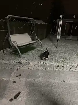 DannaaMeliza online show from January 2025 10:20:01 AM