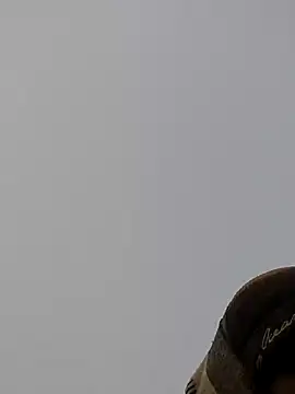 Snapshot of ThethunderPo chatting on December 2024 01:43:01 AM ThethunderPo online show from December 2024 01:43:01 AM