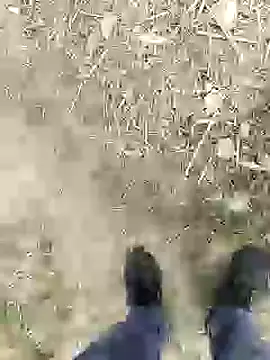 Snapshot of ThethunderPo chatting on January 2025 02:46:01 PM ThethunderPo online show from January 2025 02:46:01 PM