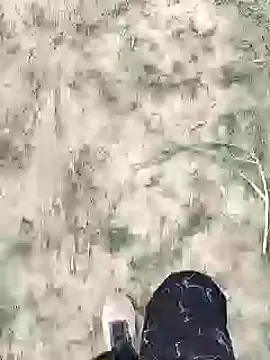 Snapshot of ThethunderPo chatting on January 2025 02:25:01 AM ThethunderPo online show from January 2025 02:25:01 AM