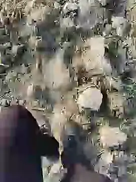 Snapshot of ThethunderPo chatting on January 2025 02:36:01 AM ThethunderPo online show from January 2025 02:36:01 AM