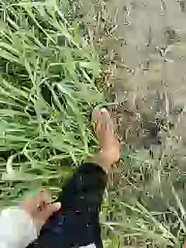 Snapshot of ThethunderPo chatting on February 2025 01:51:01 AM ThethunderPo online show from February 2025 01:51:01 AM