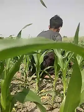 Snapshot of ThethunderPo chatting on March 2025 08:10:02 AM ThethunderPo online show from March 2025 08:10:02 AM