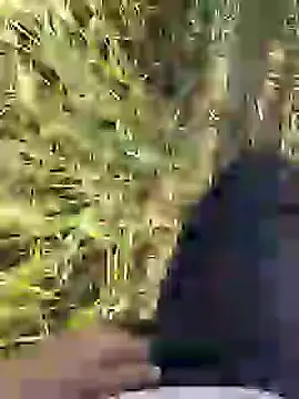 Snapshot of ThethunderPo chatting on March 2025 02:36:02 AM ThethunderPo online show from March 2025 02:36:02 AM