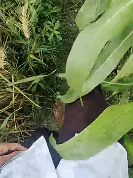 Snapshot of ThethunderPo chatting on March 2025 02:50:01 AM ThethunderPo online show from March 2025 02:50:01 AM