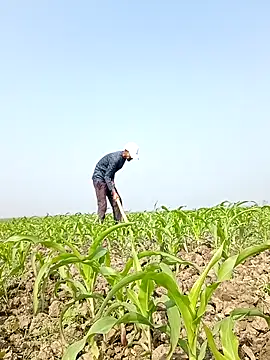 ThethunderPo online show from February 2026 04:39:01 AM