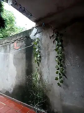 Snapshot of Camilatinass_ chatting on April 2026 11:55:02 AM Camilatinass online show from April 2026 11:55:02 AM